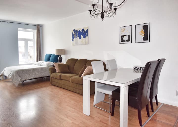 New Spacious 2 1/2 appt central location Apartments for Rent in