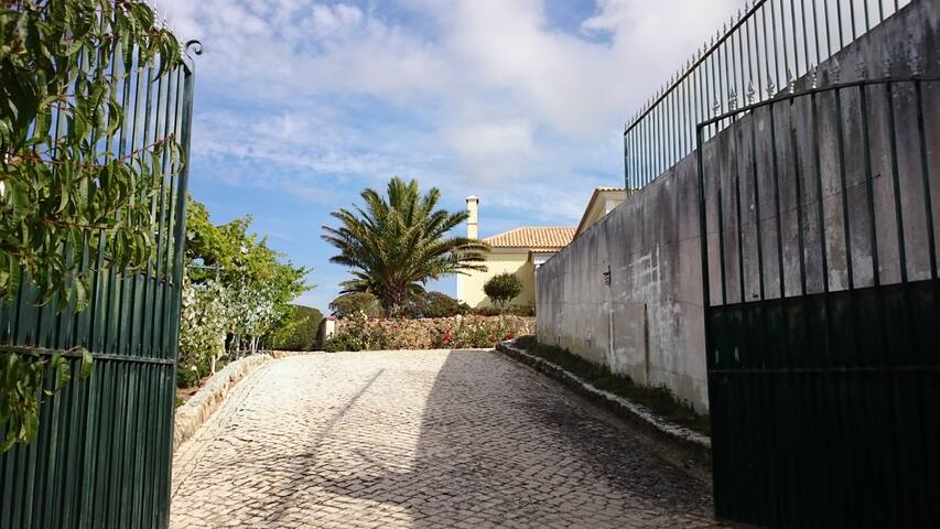 Villa Baleia at São Julião Beach, Ericeira gallery image 5