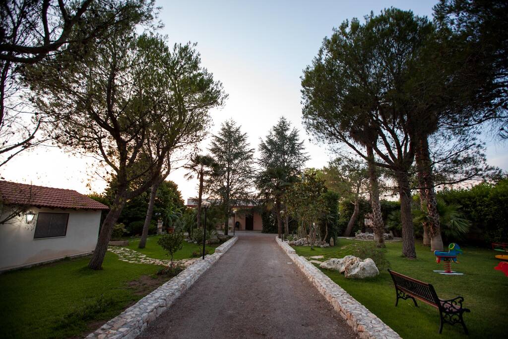 garden