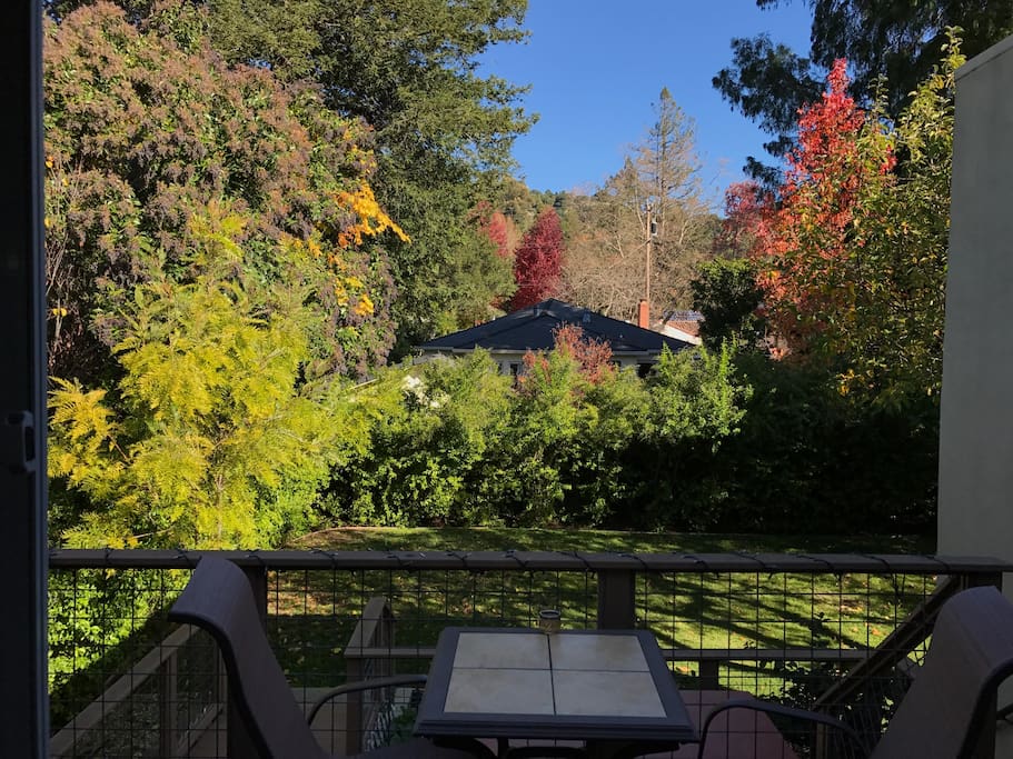 Rear deck view. Seating and BBQ