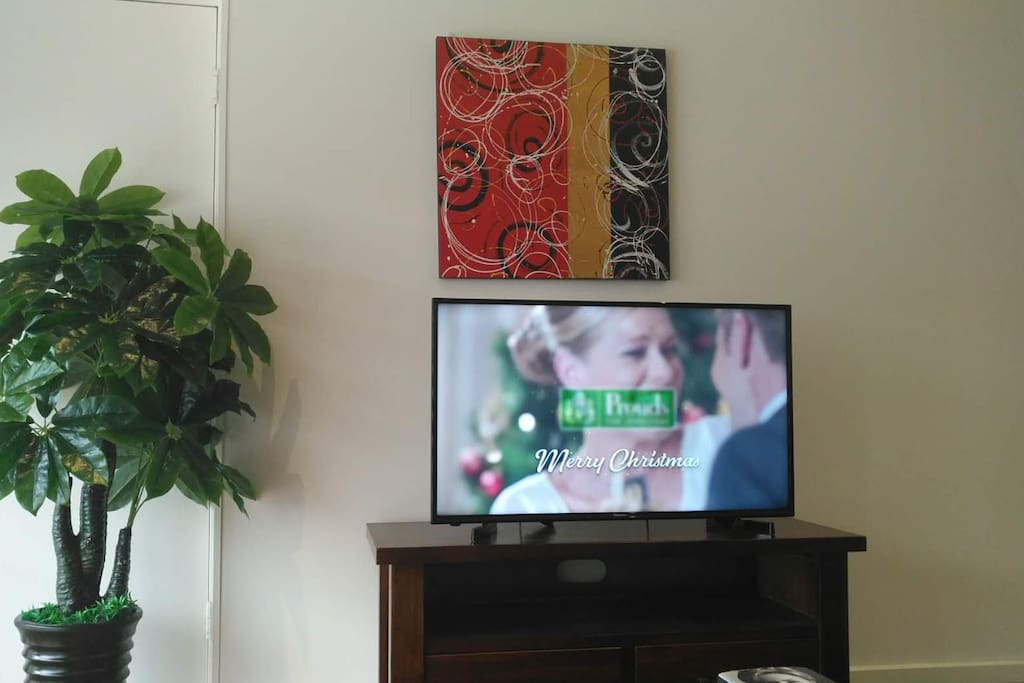 50" smart flat TV (wifi connected)