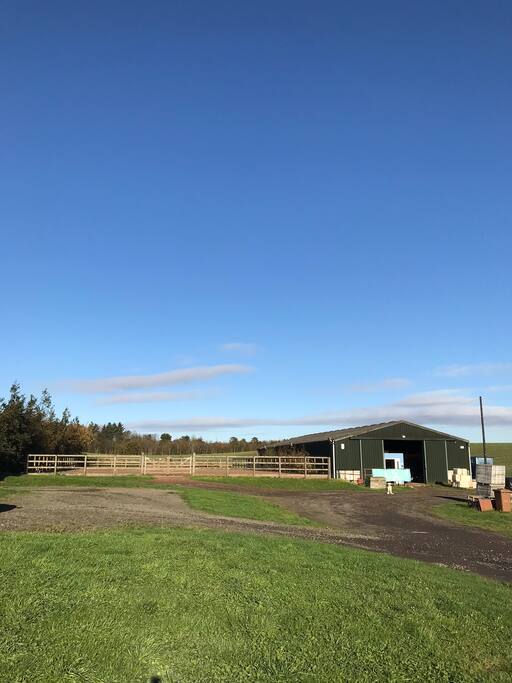 Our stables and riding arena