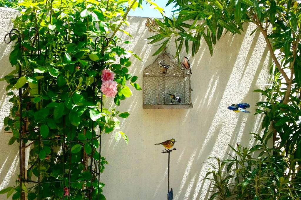 The flowery patio
la terrasse fleurie