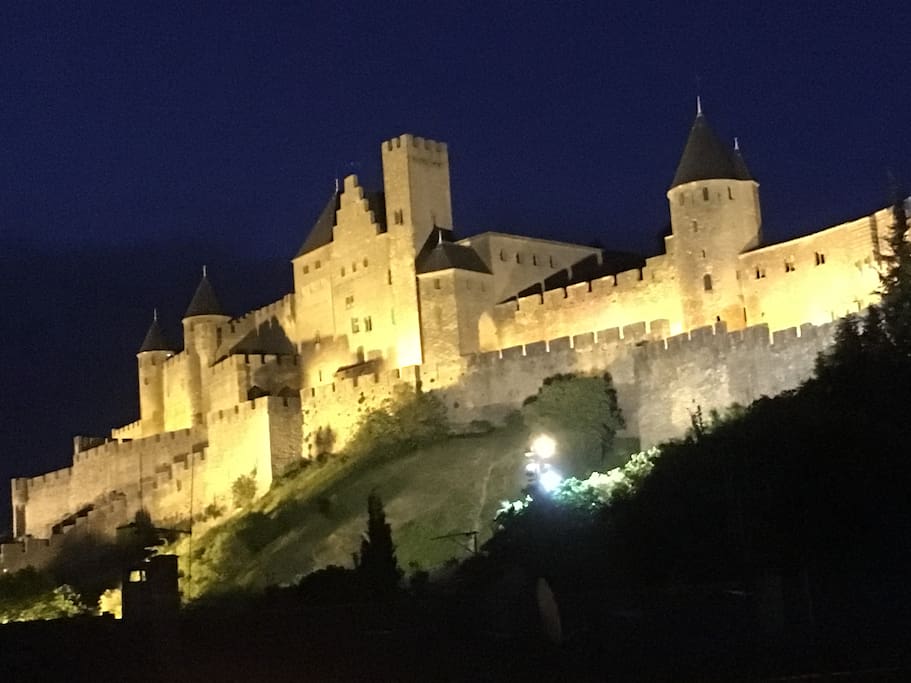 Castle at night from rear of house