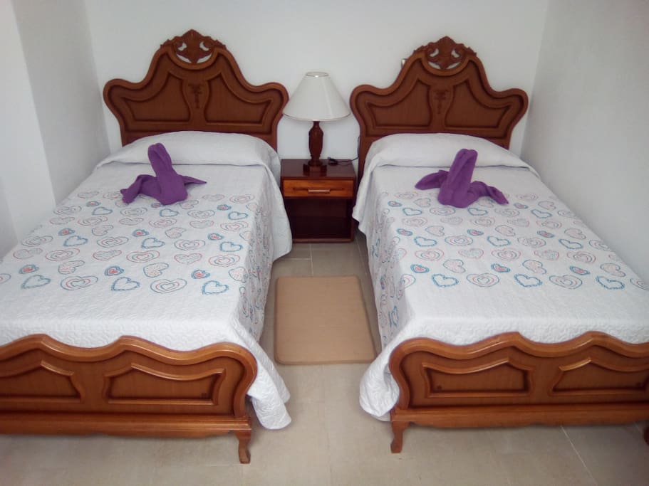 Habitación 1 (2 camas individuales)