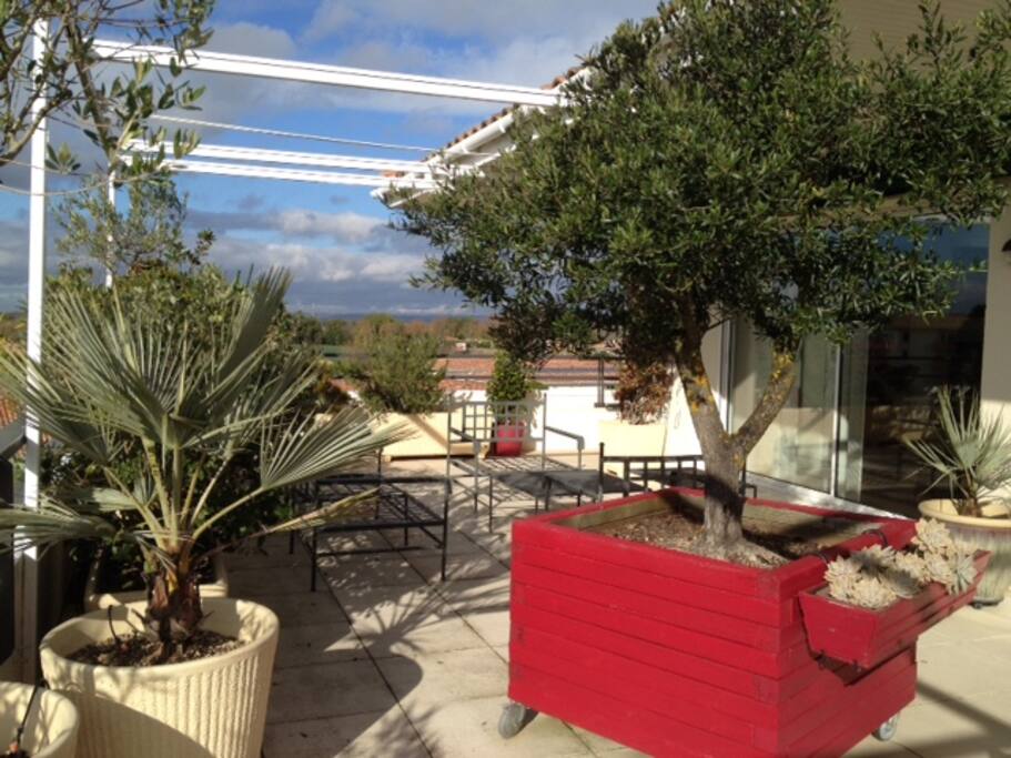 Terrasse sud
