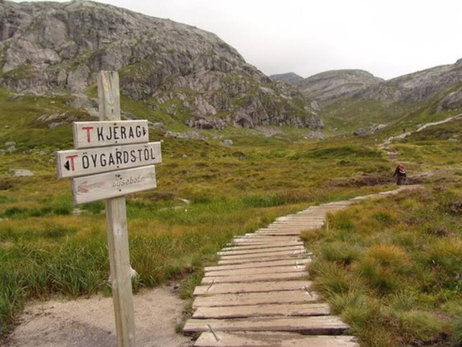 En av de mange turløypene som Den norske turistforrening er ansvarlig for. Her finner du turer for alle aldre
