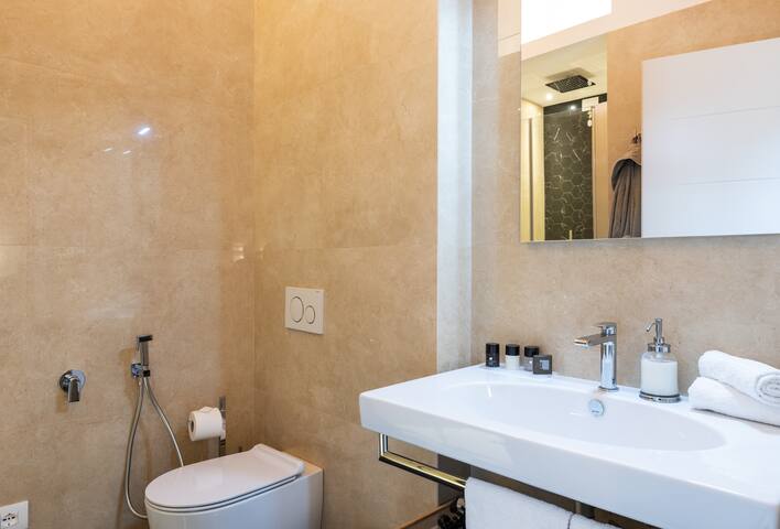 Florence Art Apts -Castano -Deluxe two bedroom apt gallery image 5