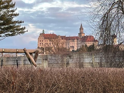 City center with a view of the castle
