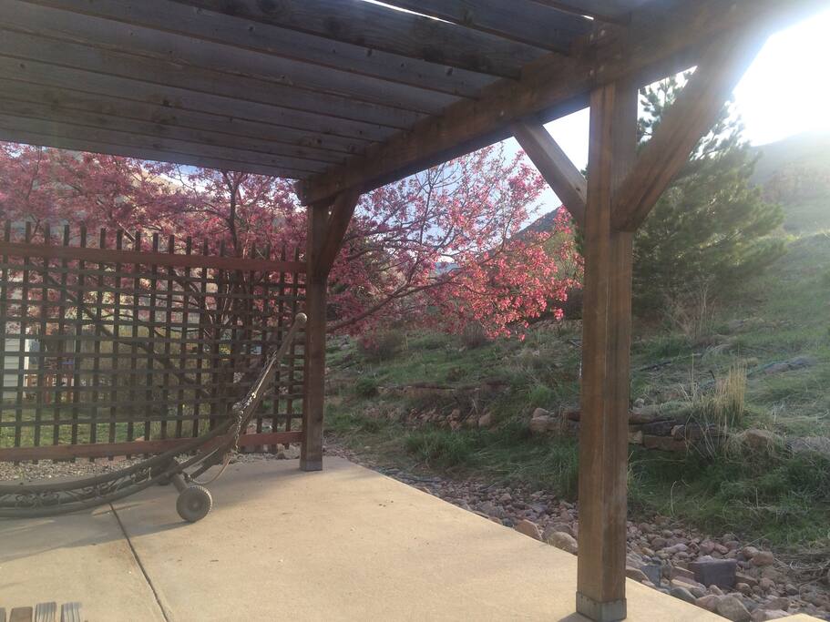 back yard patio