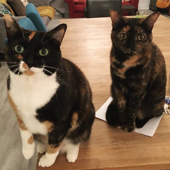 Les & Rosie posing for the camera