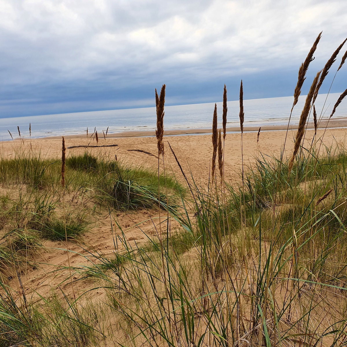 The image captures a serene beach scene featuring gentle waves lapping at the shore. Tall grasses and soft dunes frame the sandy beach, creating a natural boundary. A muted sky compliments the landscape, with shades of gray suggesting a calm atmosphere.