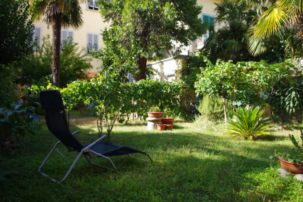 Giardino