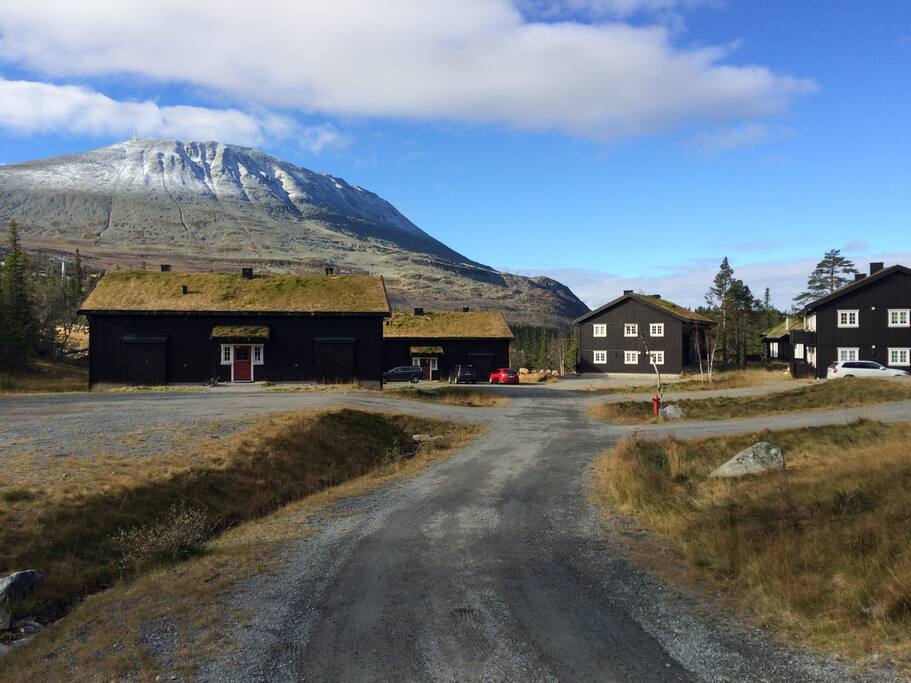 Oversikt over hyttetunet