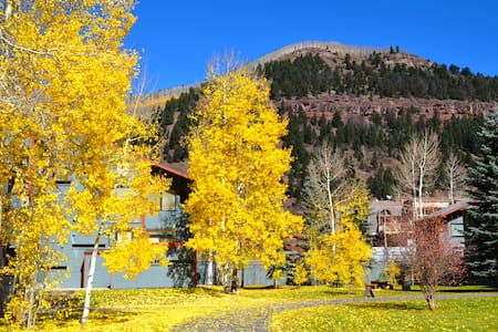 Clean & Cozy Studio#17254493