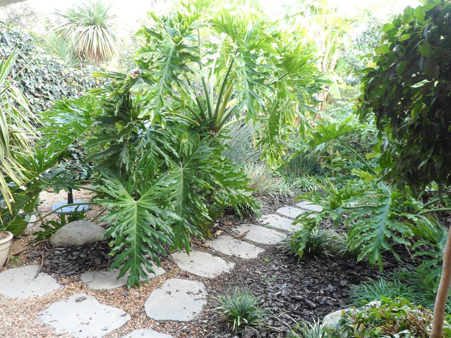Private garden at patio