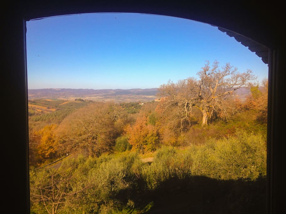 Vista