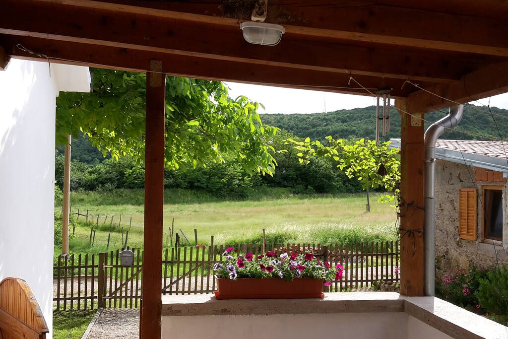 Die Aussicht