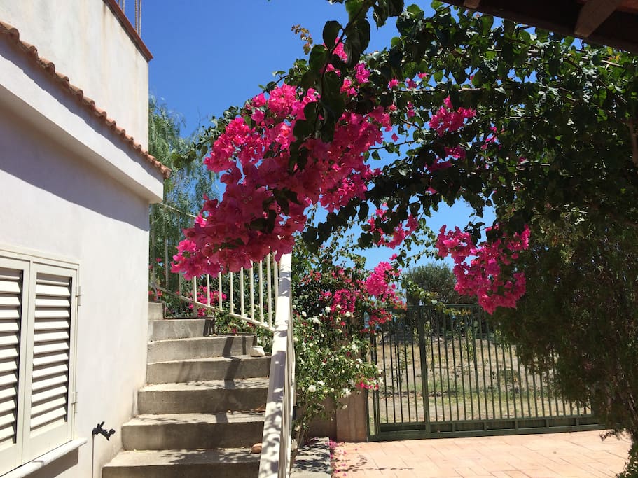 cancello di ingresso alla casa