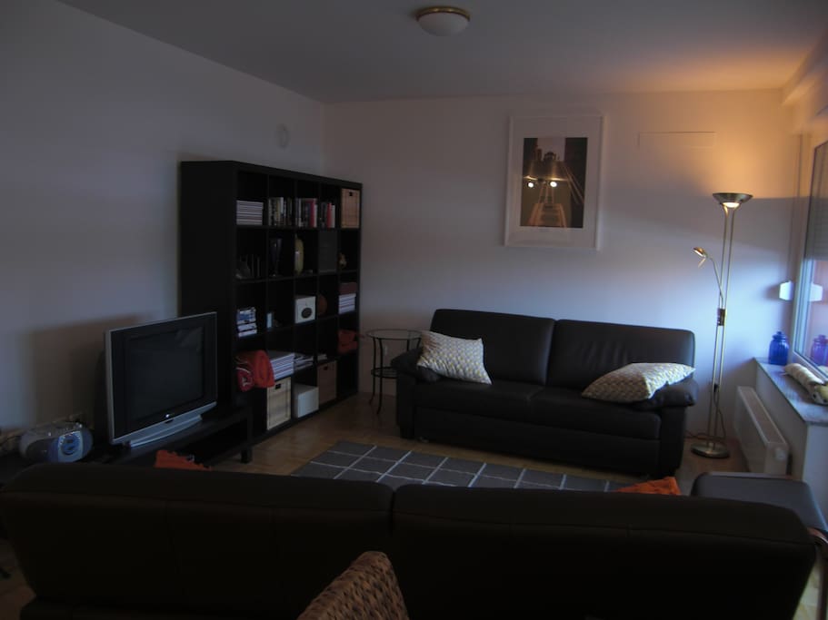 Comfortable lounge , smart tv, optic wifi ,stereo , books , dvd & cd players.