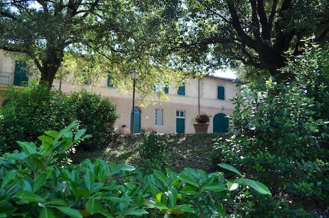 Top performing Airbnb: Farm in Tuscan country in Cortona