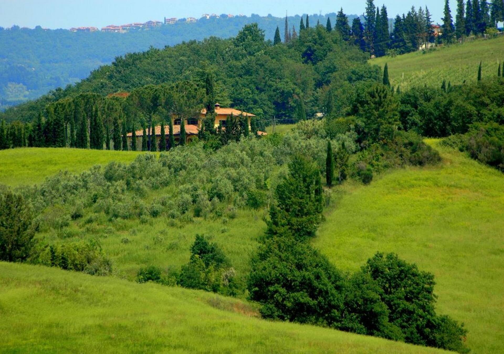 Santa Margherita Vacanze — foto 2