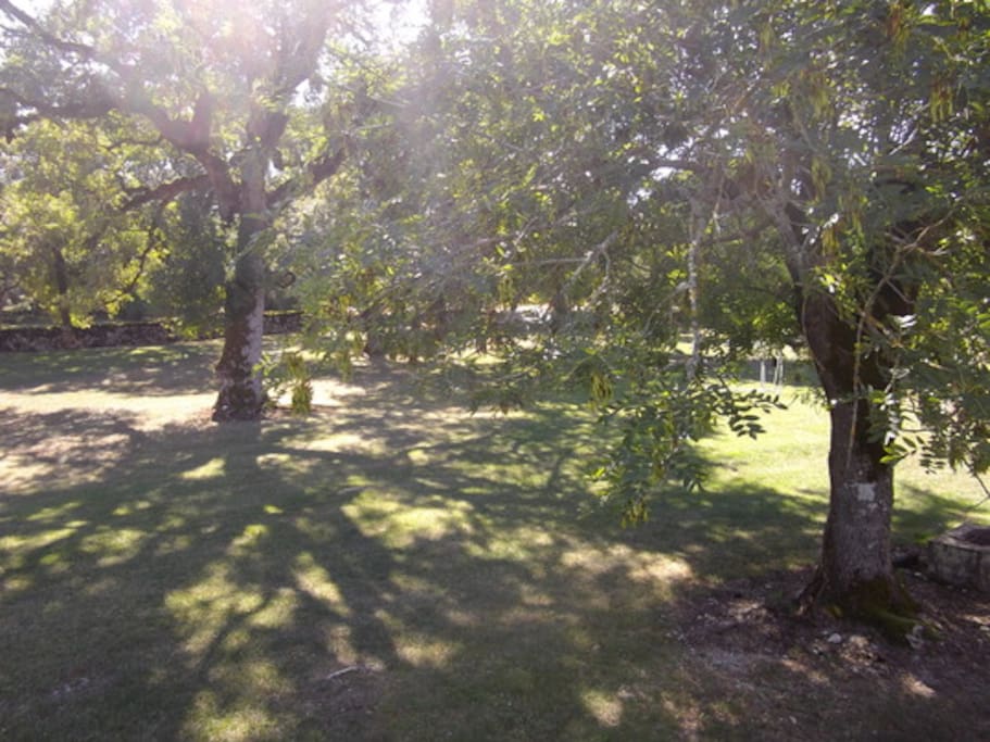 Parc