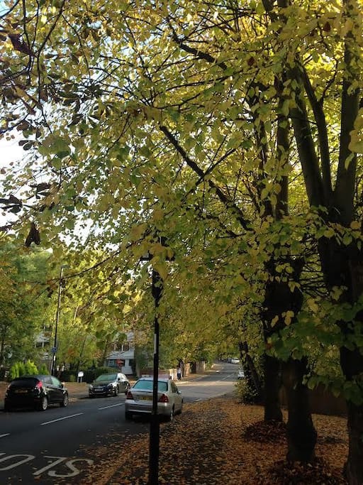Green street