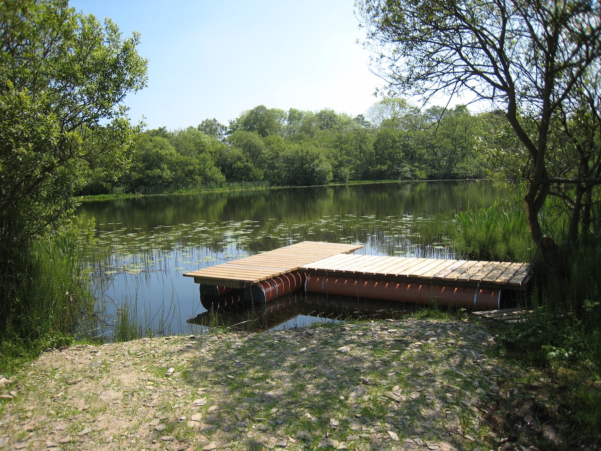 A wooden dock extends over calm waters, surrounded by lush greenery and delicate lily pads. Sunlight reflects off the water's surface, while gentle ripples disrupt the stillness. Tall grasses frame the scene, enhancing the natural setting.