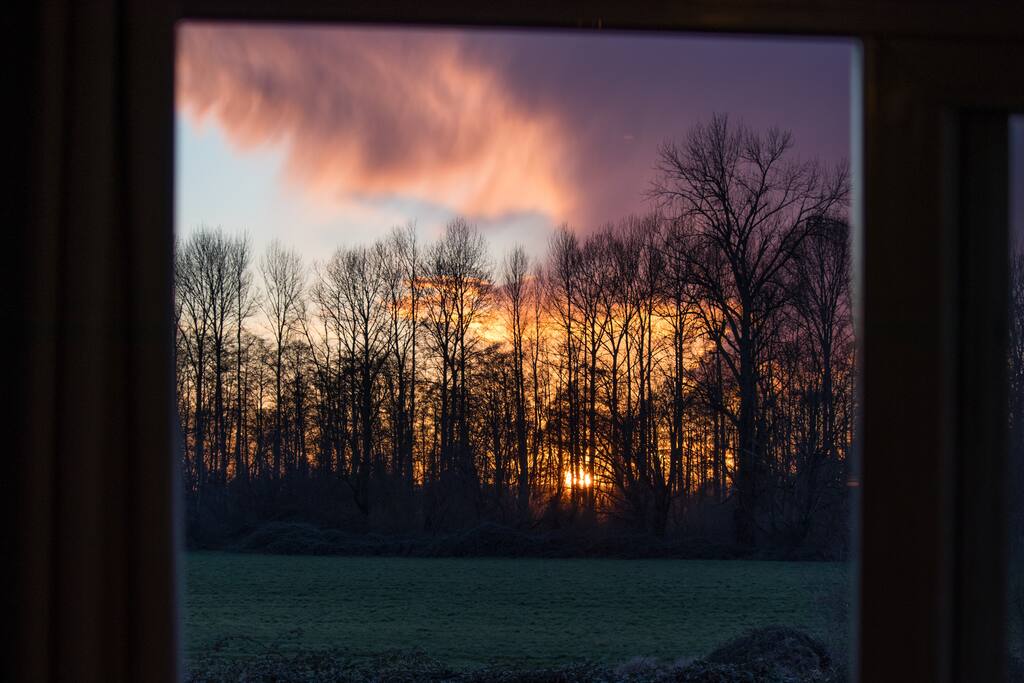 View of the sunset from the room. You often see many eagles, coyotes, deer, rabbits, squirrels, and many other birds around the property.