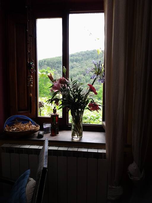 living-room window