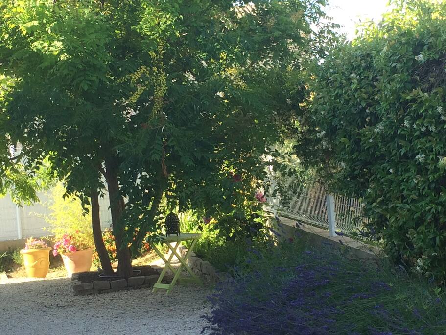Côté Est sur terrain de boules