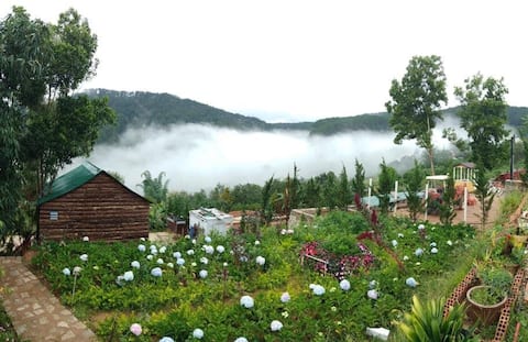 Hoang Gia Trang, The Rustic Garden - Blue Room