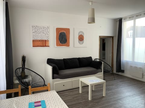 Appartement 2 pièces centre de Bray-sur-Seine.