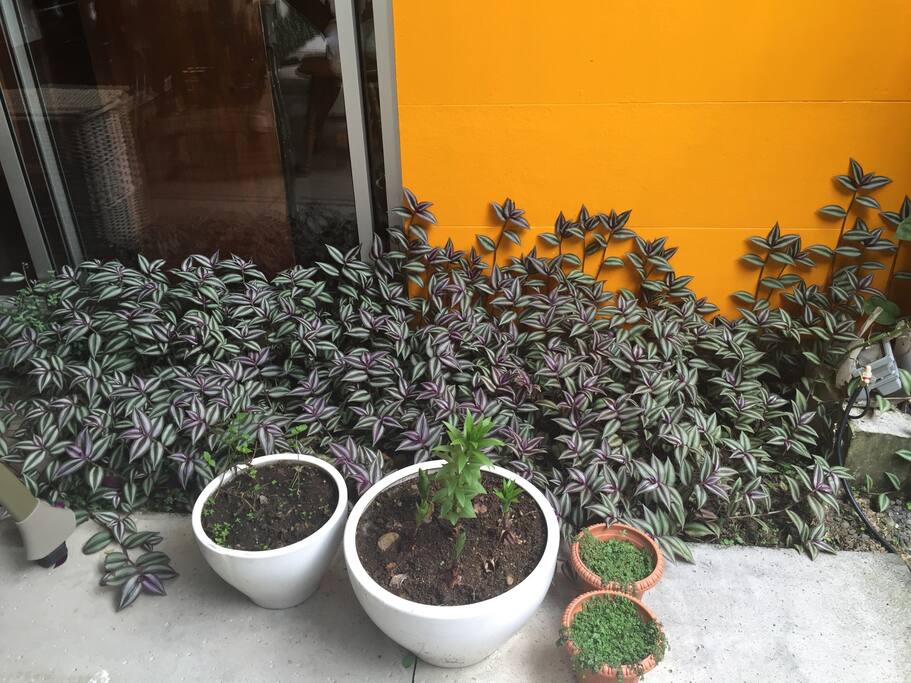 Hermosos jardines