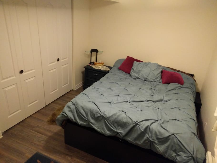 Basement 1st bedroom (double size closet)