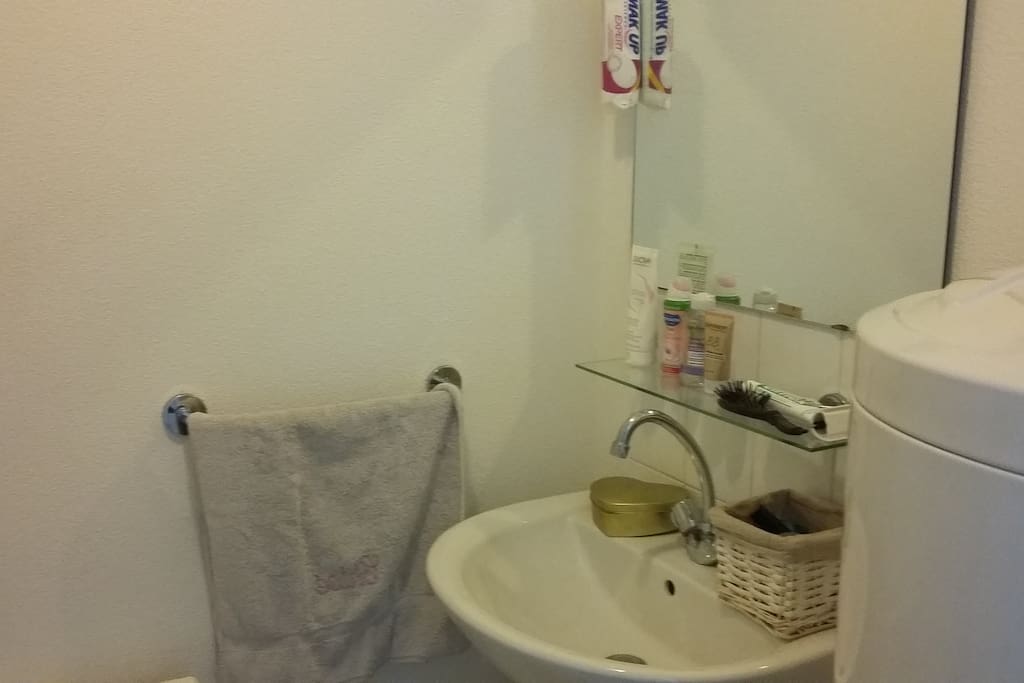 La salle de bain tout équipée