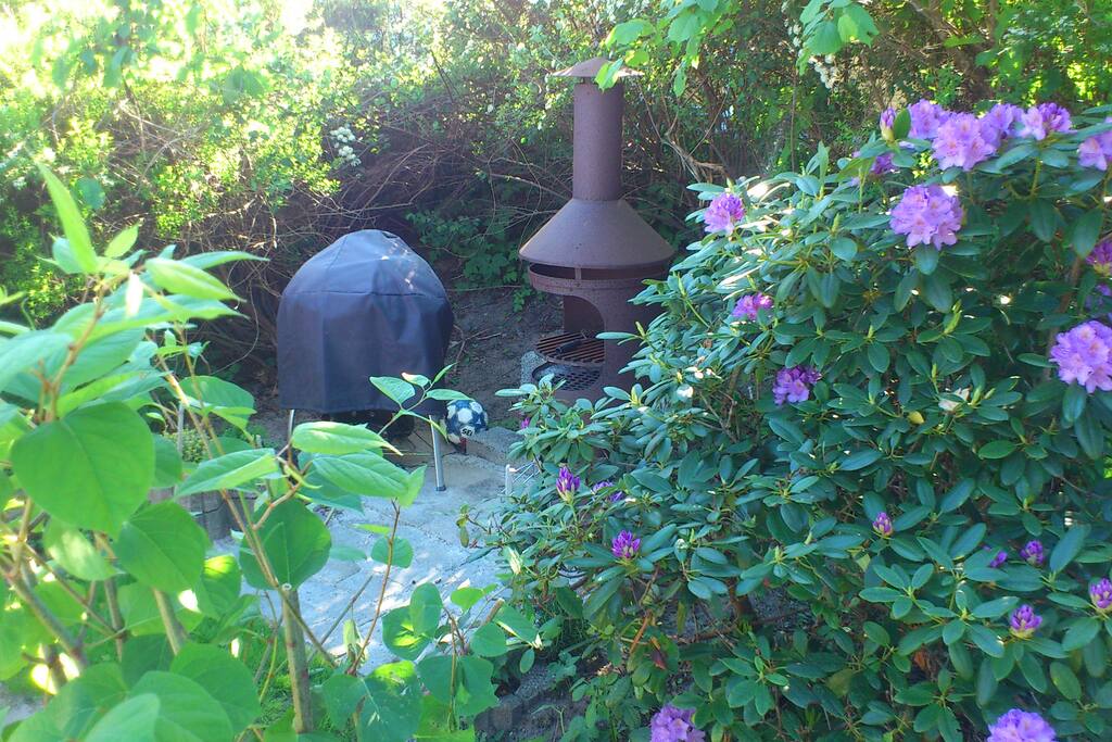 garden and barbeque