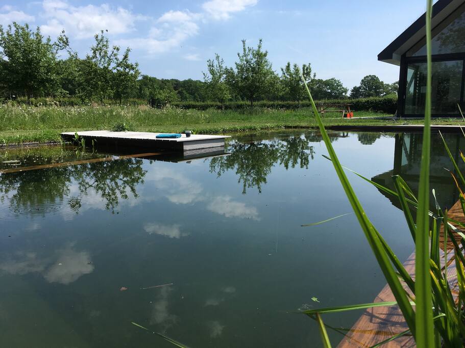 frisse ochtendduik