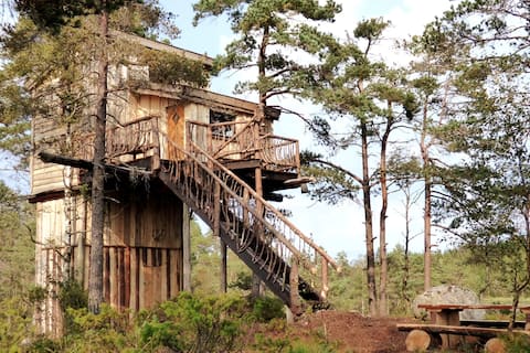 Villmarks Tårnet - TreeTop Fiddan