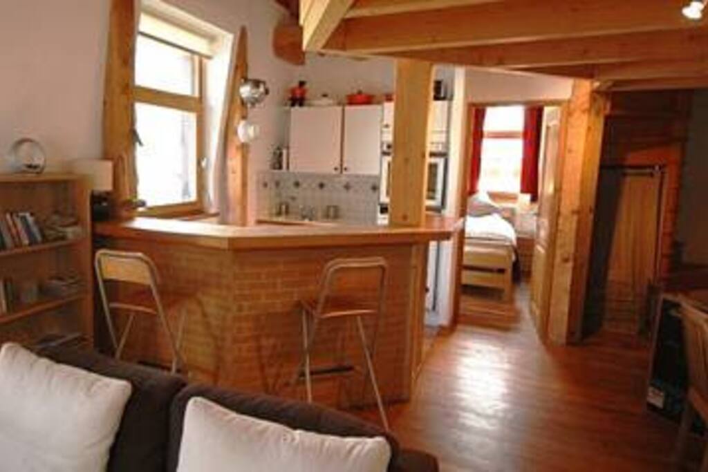 Downstairs living space and kitchen
