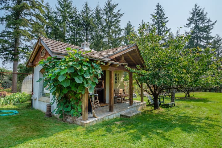 Airbnb Washington Vacation Rentals Places To Stay