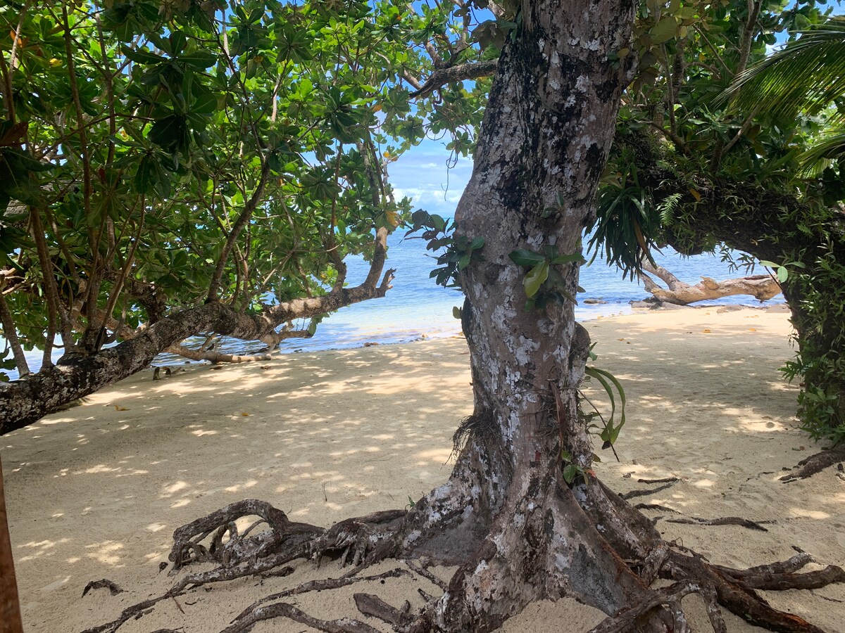 A sandy beach is framed by lush, leafy trees, with a glimpse of the tranquil lagoon visible through the branches. The ground is uneven, marked by the roots of a large tree, creating a natural, shaded area near the water's edge.