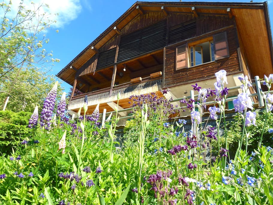 Vue du chalet savoyard avec l'appartement au rez de chaussée donnant sur la Terrasse en bois.