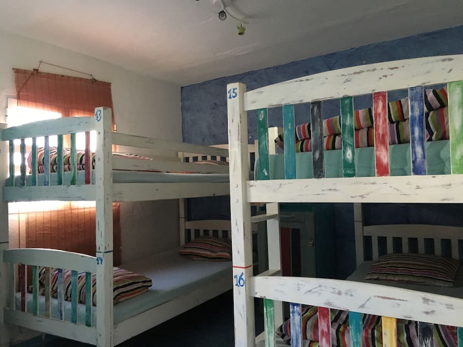 4 bed mixed dorm