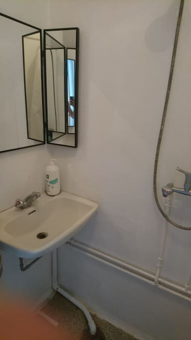 Toilet and shower