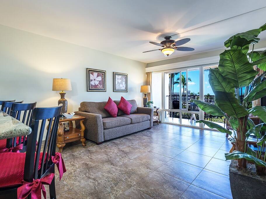 Living Room Area
