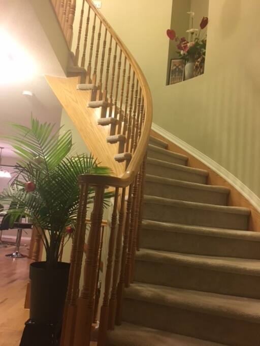 Vue Escalier