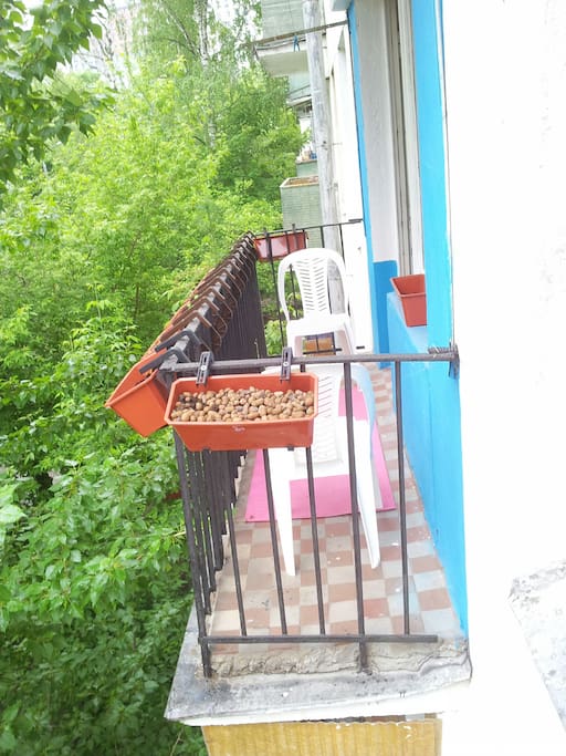 The tiny balcony with baskets. The balcony is very useful for many looking around and hearing.
The photo taken in May, 2016.