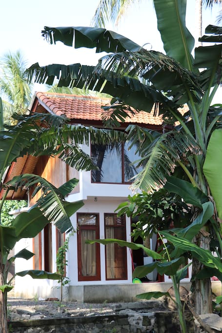 house from the garden